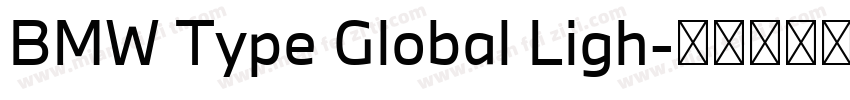 BMW Type Global Ligh字体转换